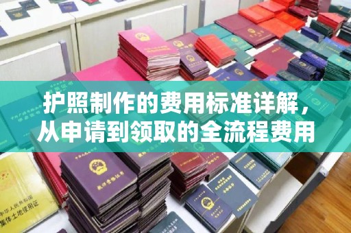 岳池护照制作的费用标准详解，从申请到领取的全流程费用指南