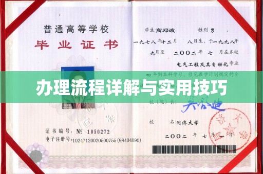 岳池办理流程详解与实用技巧