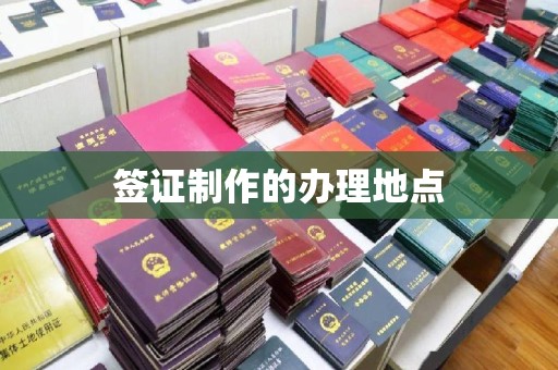 岳池签证制作的办理地点