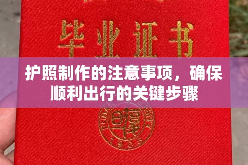 岳池护照制作的注意事项，确保顺利出行的关键步骤