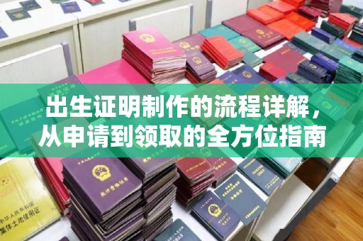 岳池出生证明制作的流程详解，从申请到领取的全方位指南