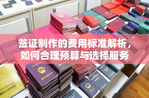 岳池签证制作的费用标准解析，如何合理预算与选择服务