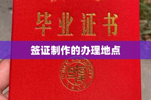 岳池签证制作的办理地点