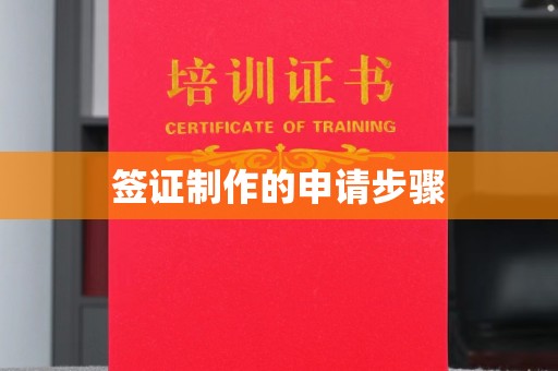 岳池签证制作的申请步骤