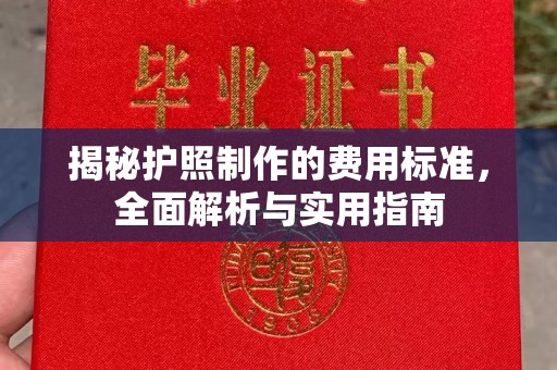 岳池揭秘护照制作的费用标准，全面解析与实用指南