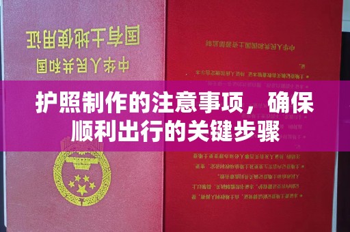 岳池护照制作的注意事项，确保顺利出行的关键步骤