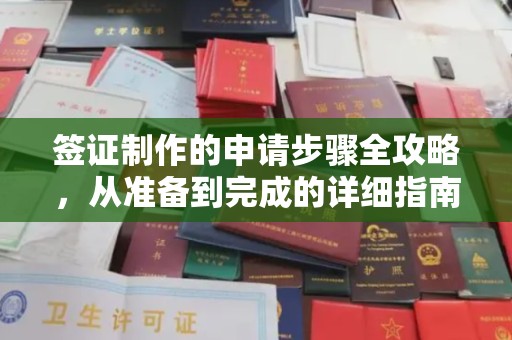 岳池签证制作的申请步骤全攻略，从准备到完成的详细指南